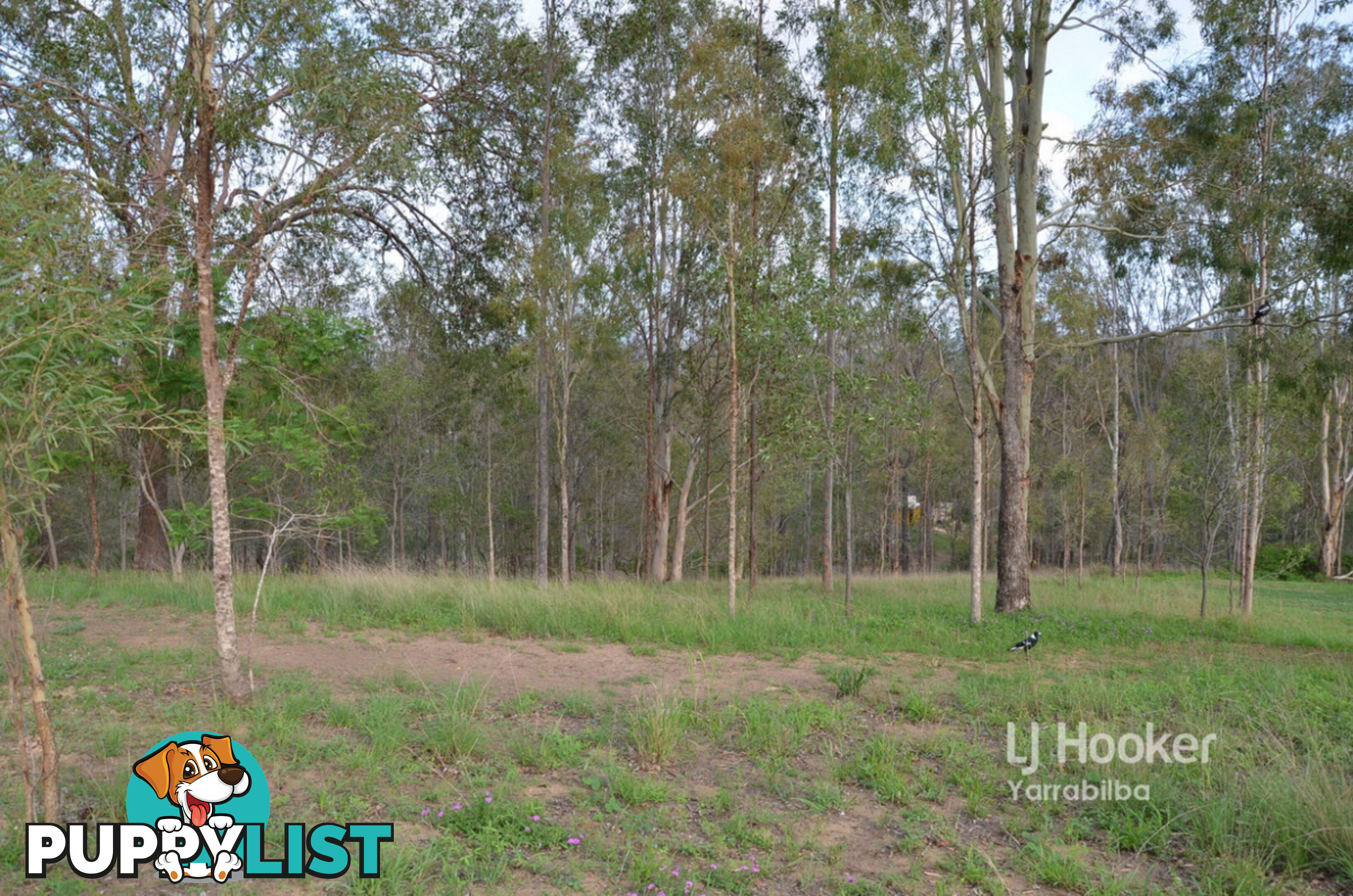 Lot 147/140-146 Stephens Place KOORALBYN QLD 4285