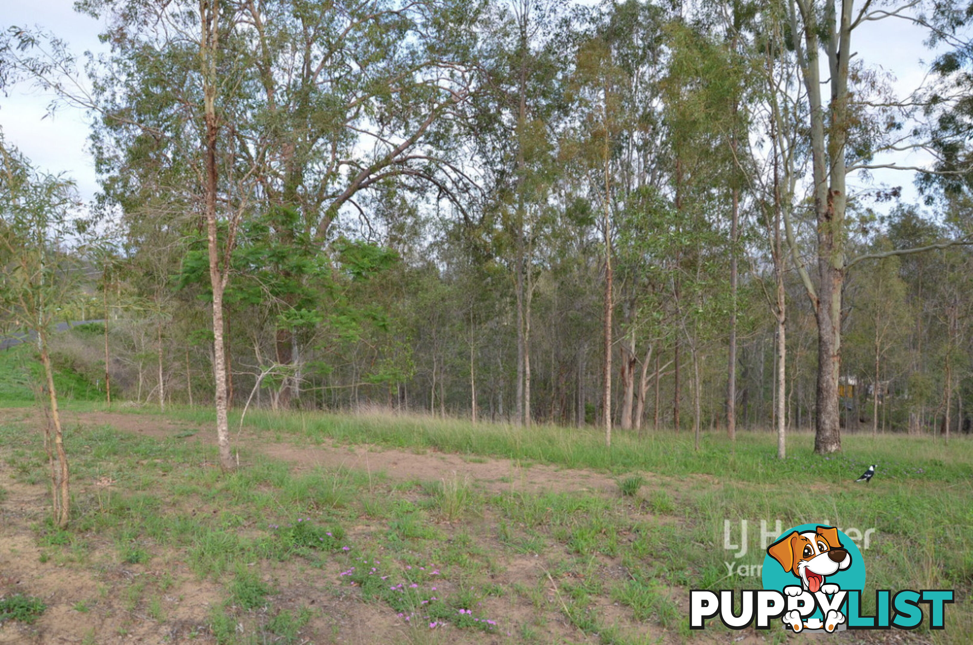 Lot 147/140-146 Stephens Place KOORALBYN QLD 4285