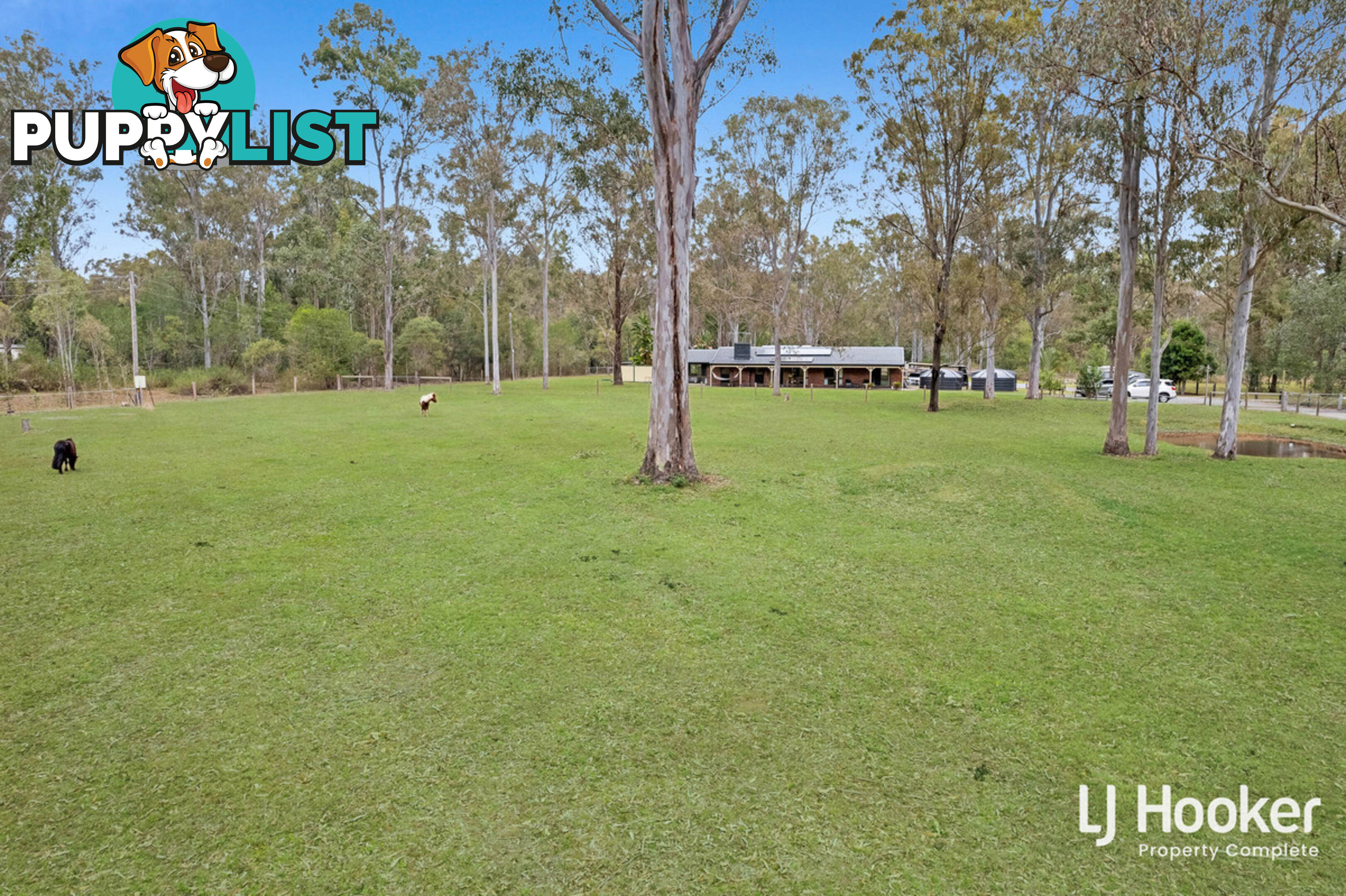 383-391 Quinzeh Creek Road LOGAN VILLAGE QLD 4207