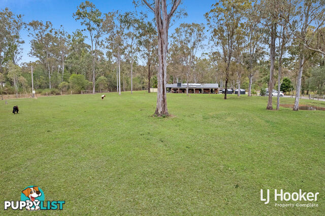 383-391 Quinzeh Creek Road LOGAN VILLAGE QLD 4207