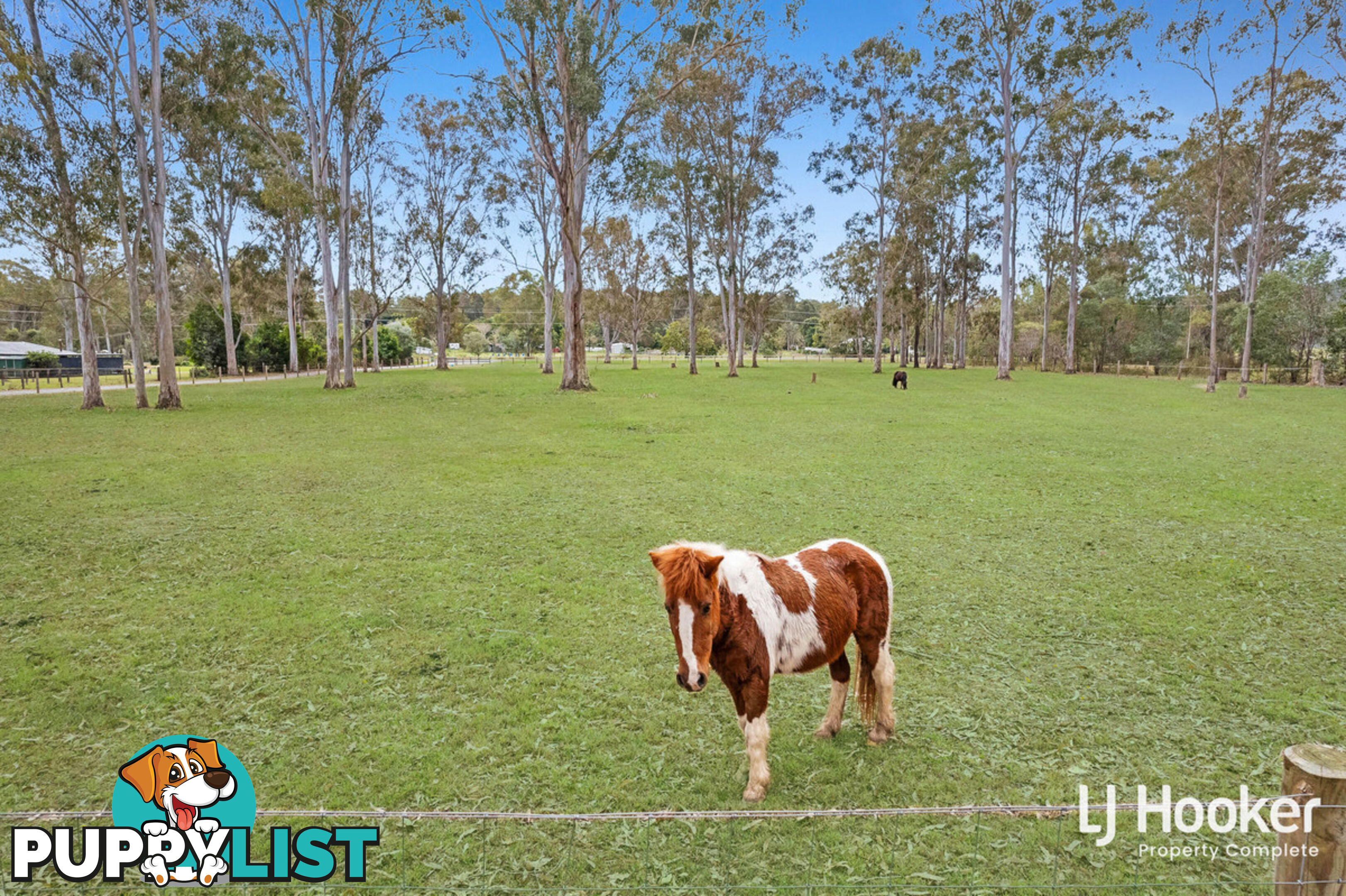 383-391 Quinzeh Creek Road LOGAN VILLAGE QLD 4207