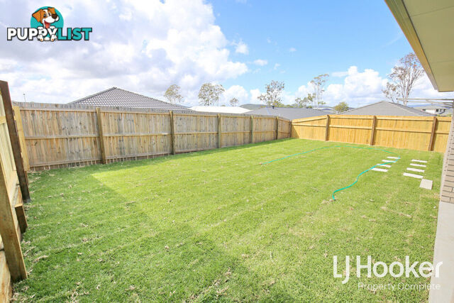 31 Verdi Street YARRABILBA QLD 4207