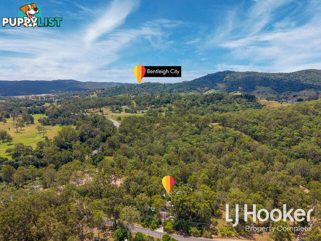 21 Barakula Court CEDAR CREEK QLD 4207