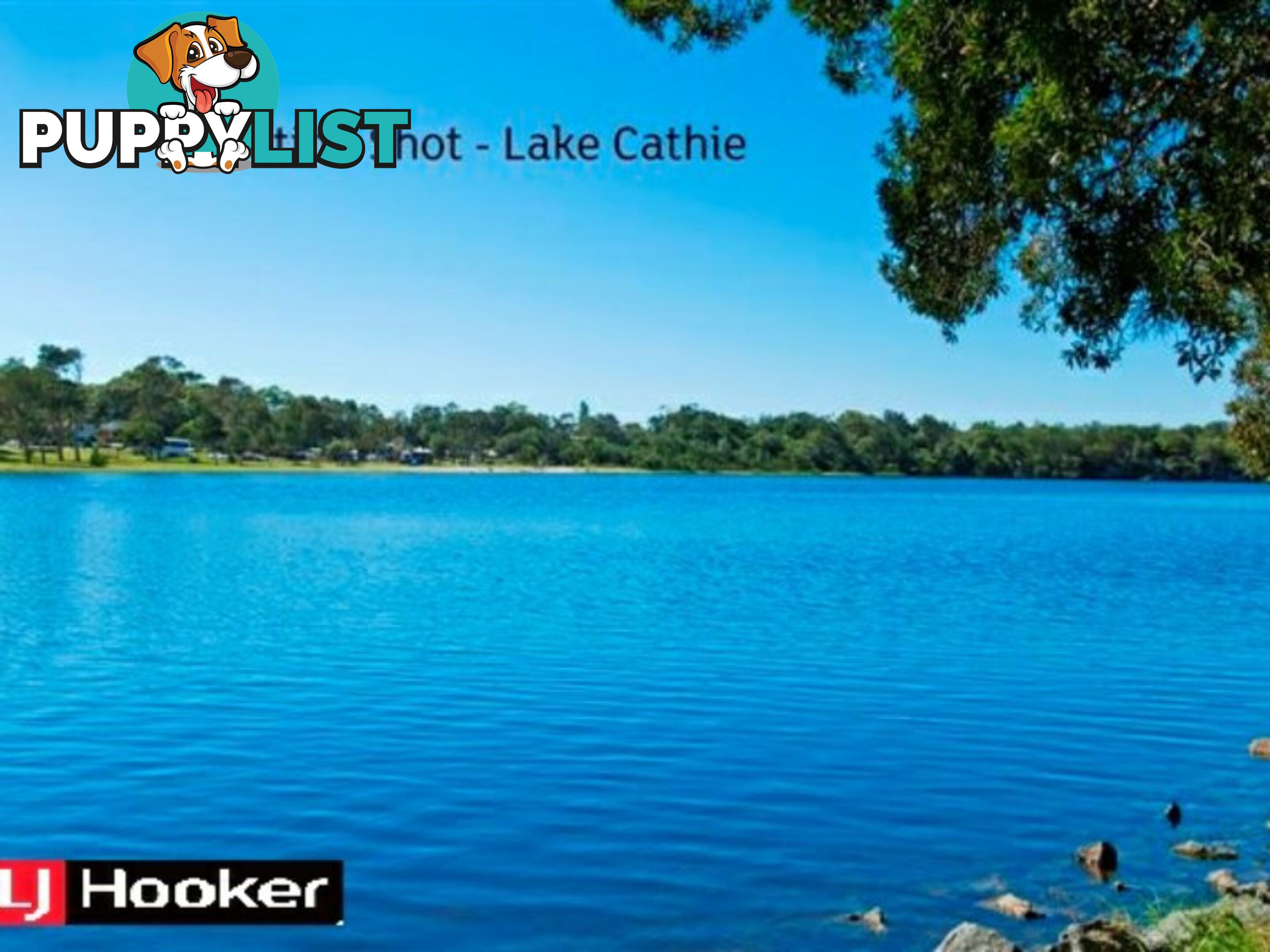 1627 Ocean Drive LAKE CATHIE NSW 2445