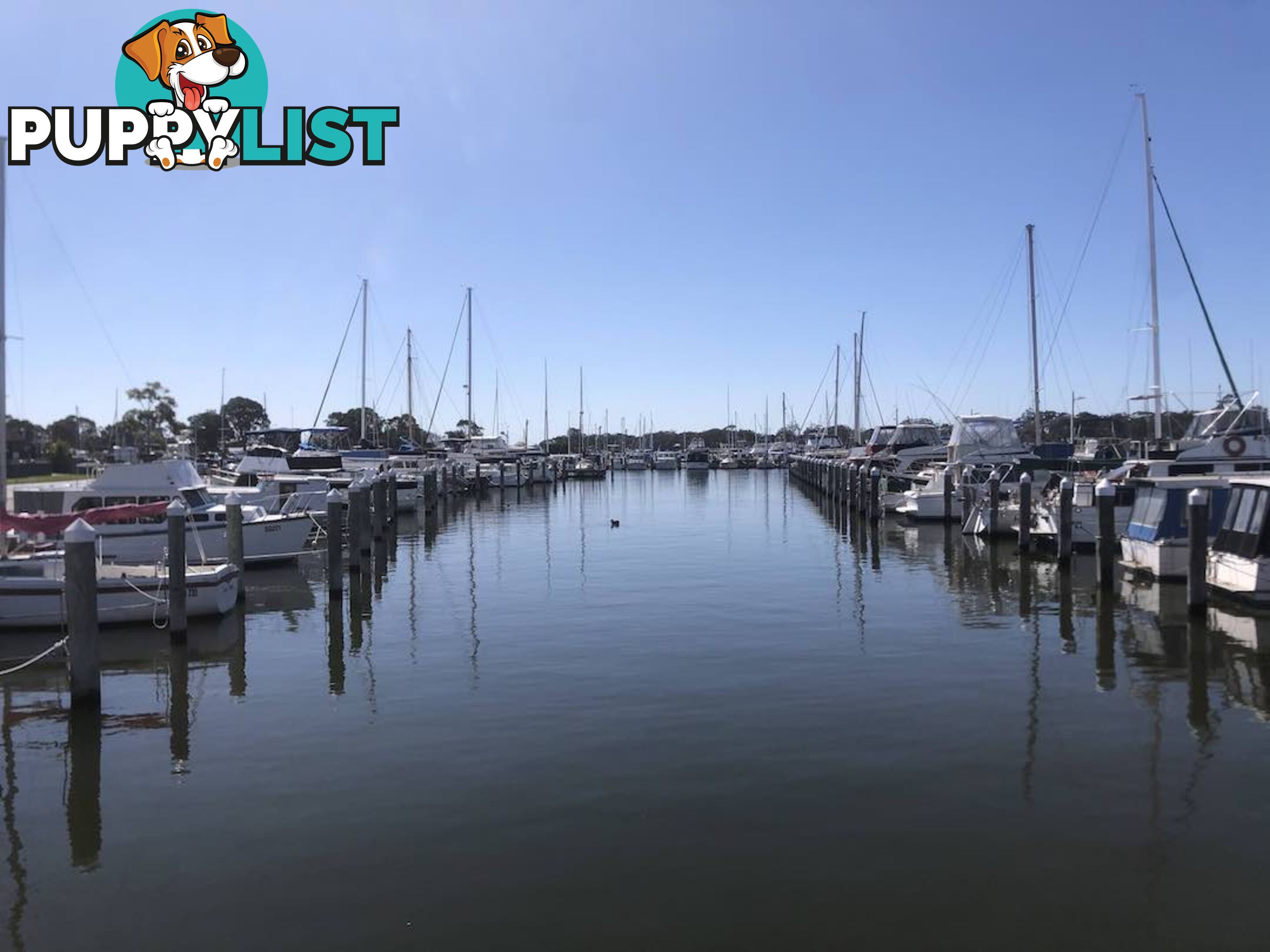 Paynesville, VIC 3880