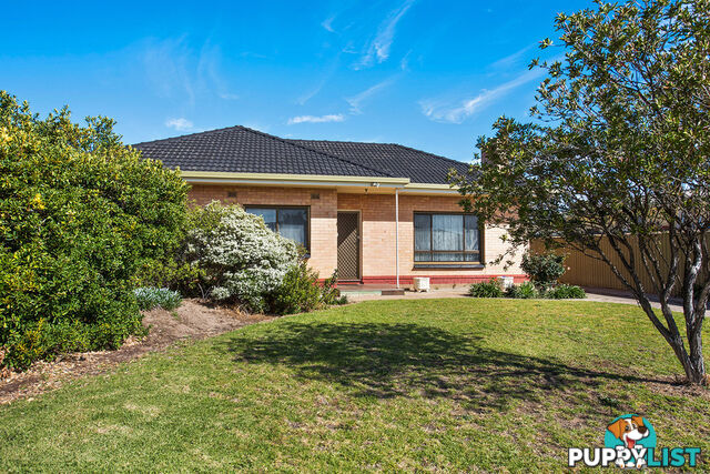 31 Shandon Avenue SEATON SA 5023