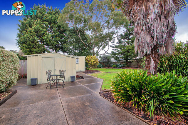 21 Sherman Drive BAYSWATER NORTH VIC 3153