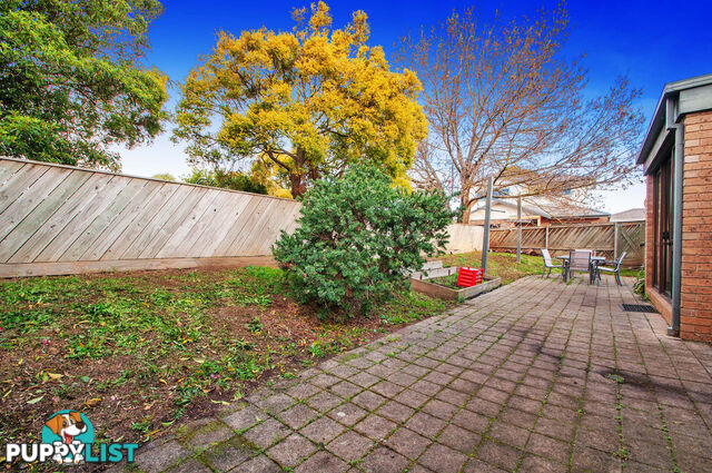 93A Scoresby Road BAYSWATER VIC 3153