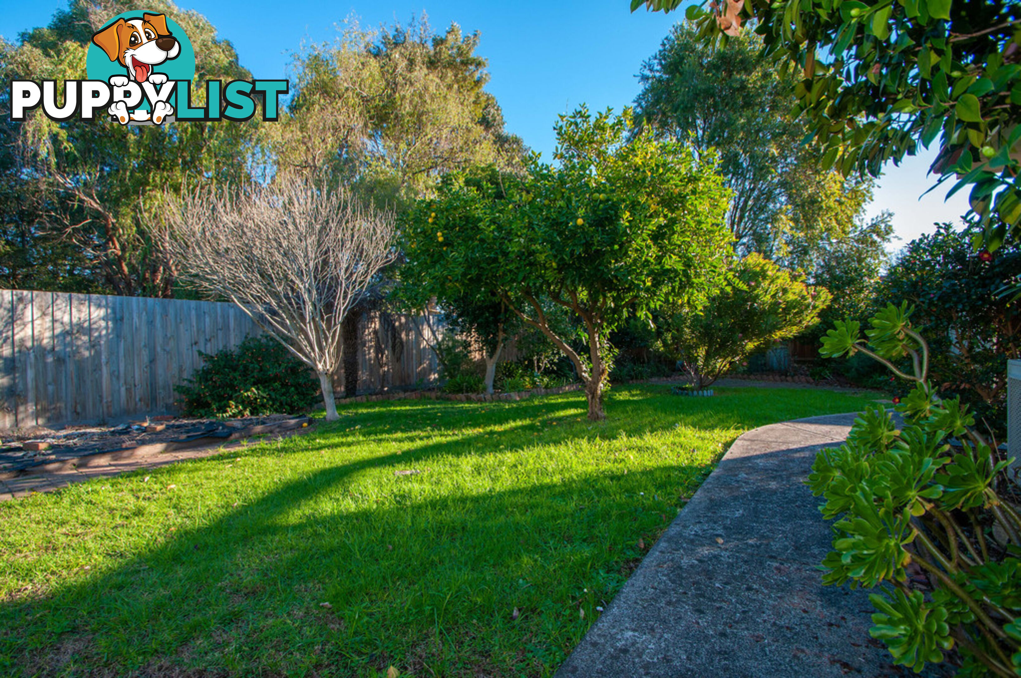 3 Westwood Drive BAYSWATER NORTH VIC 3153