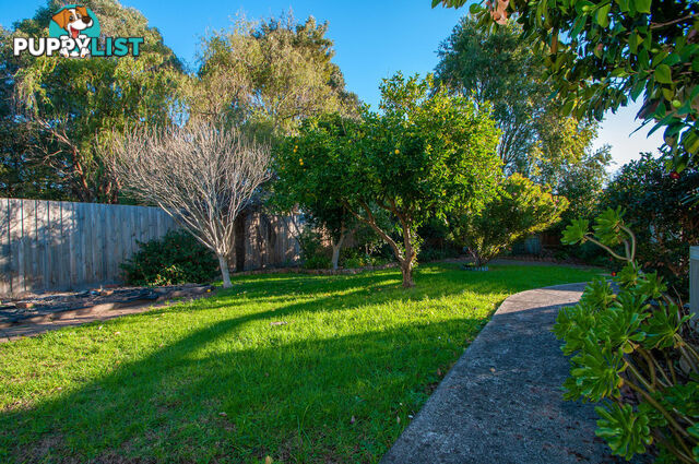 3 Westwood Drive BAYSWATER NORTH VIC 3153