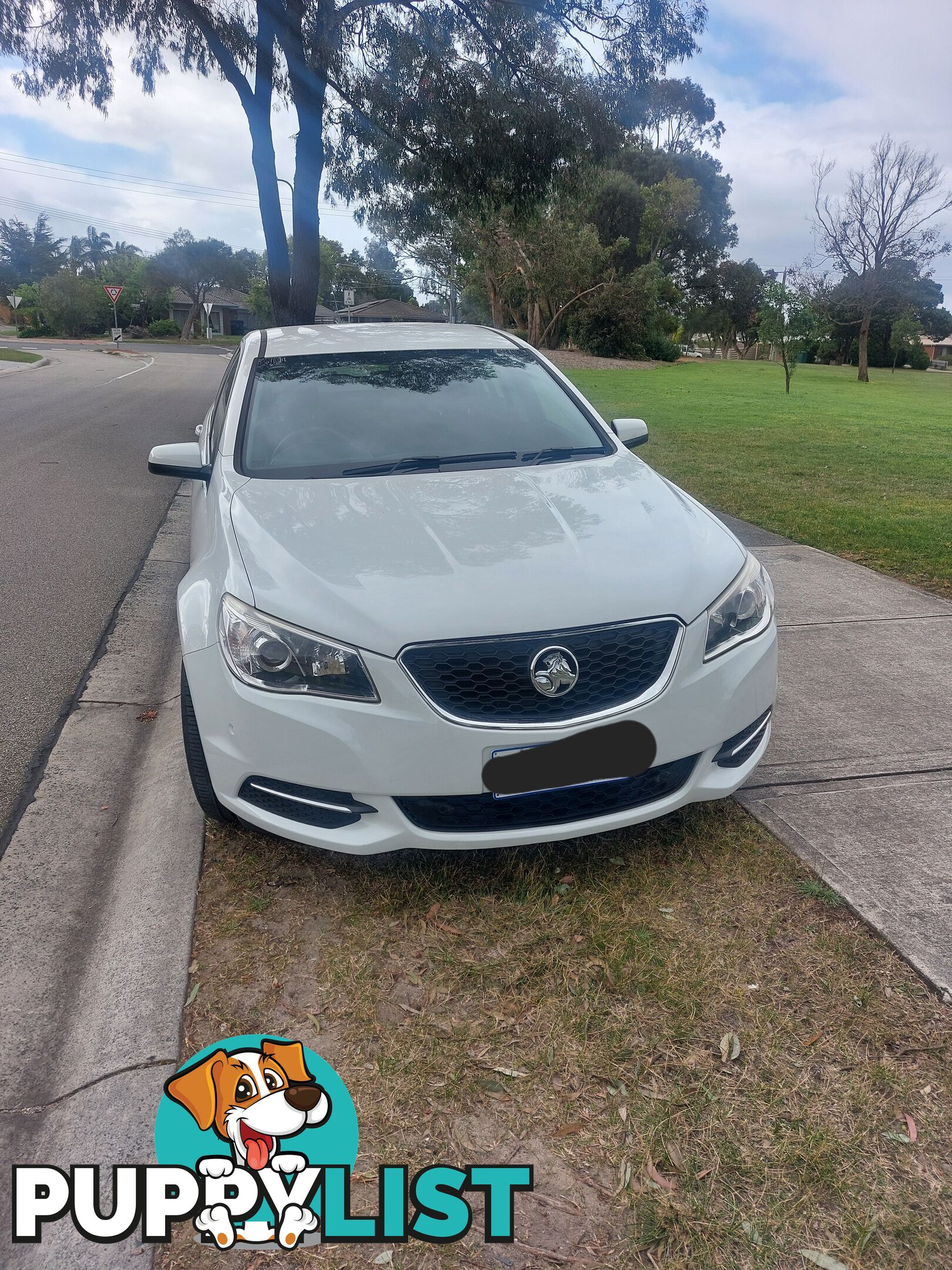 2015 Holden Commodore VF SERIES II EVOKE Wagon Automatic