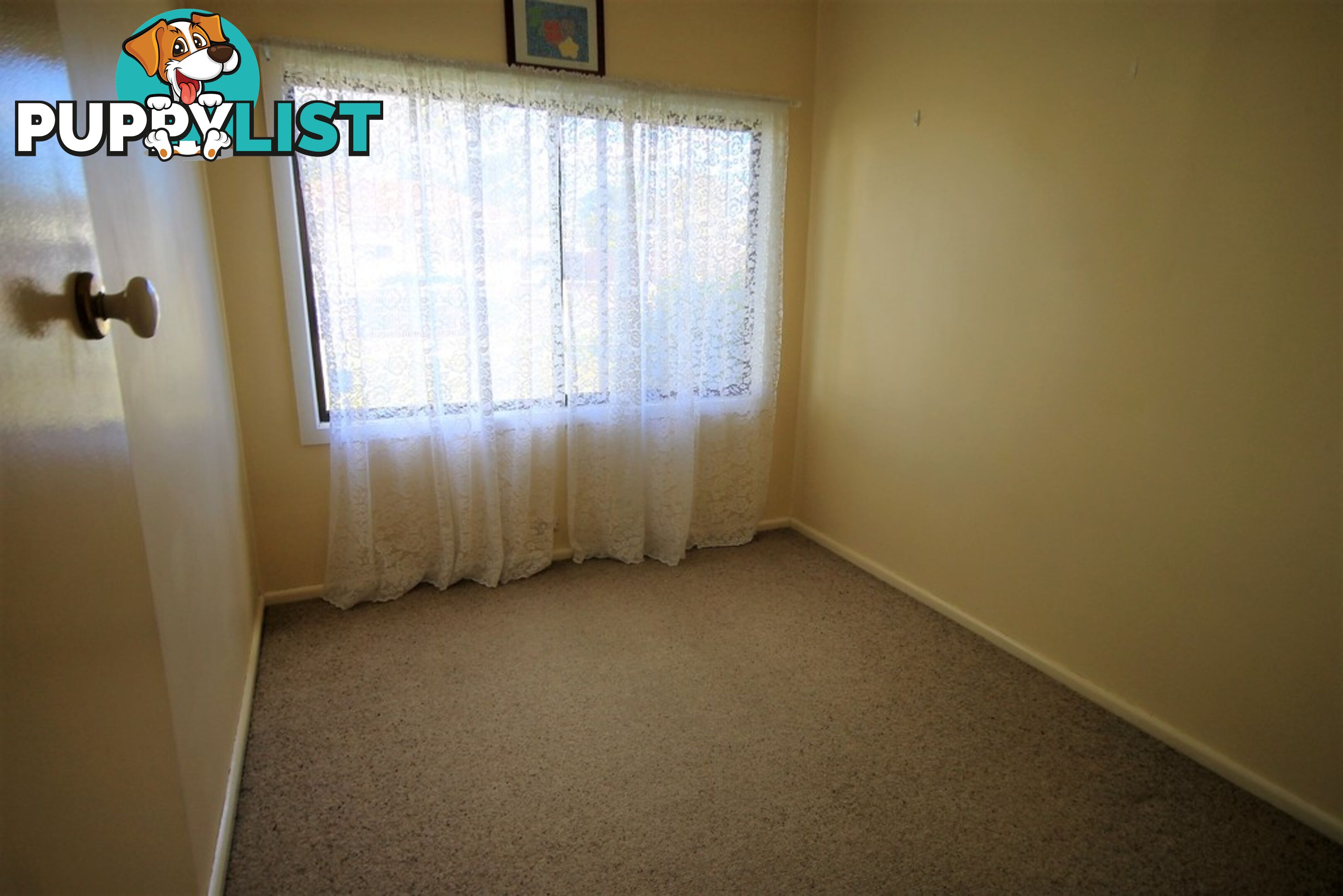 41 Ball Street COLYTON NSW 2760