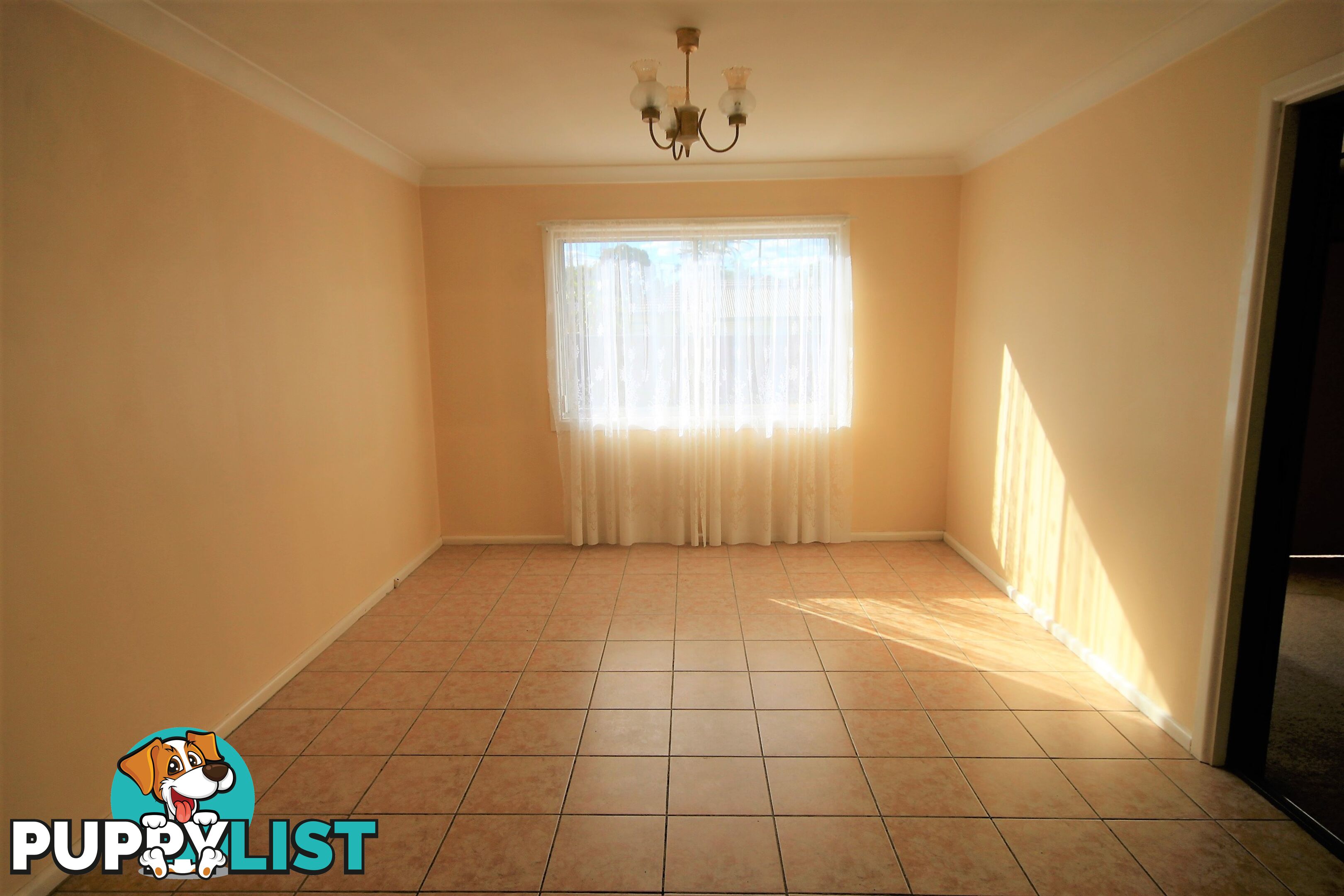 41 Ball Street COLYTON NSW 2760