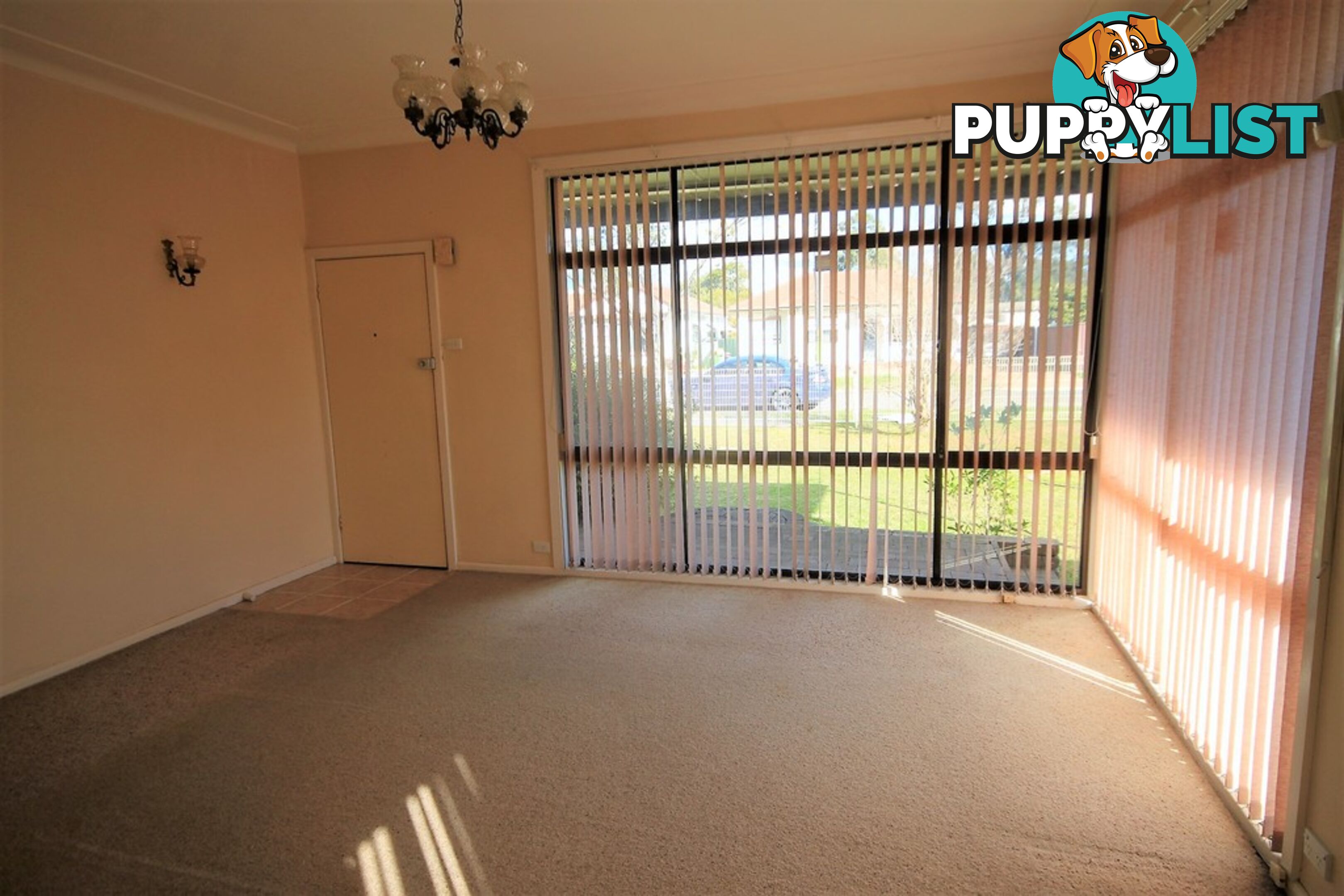 41 Ball Street COLYTON NSW 2760