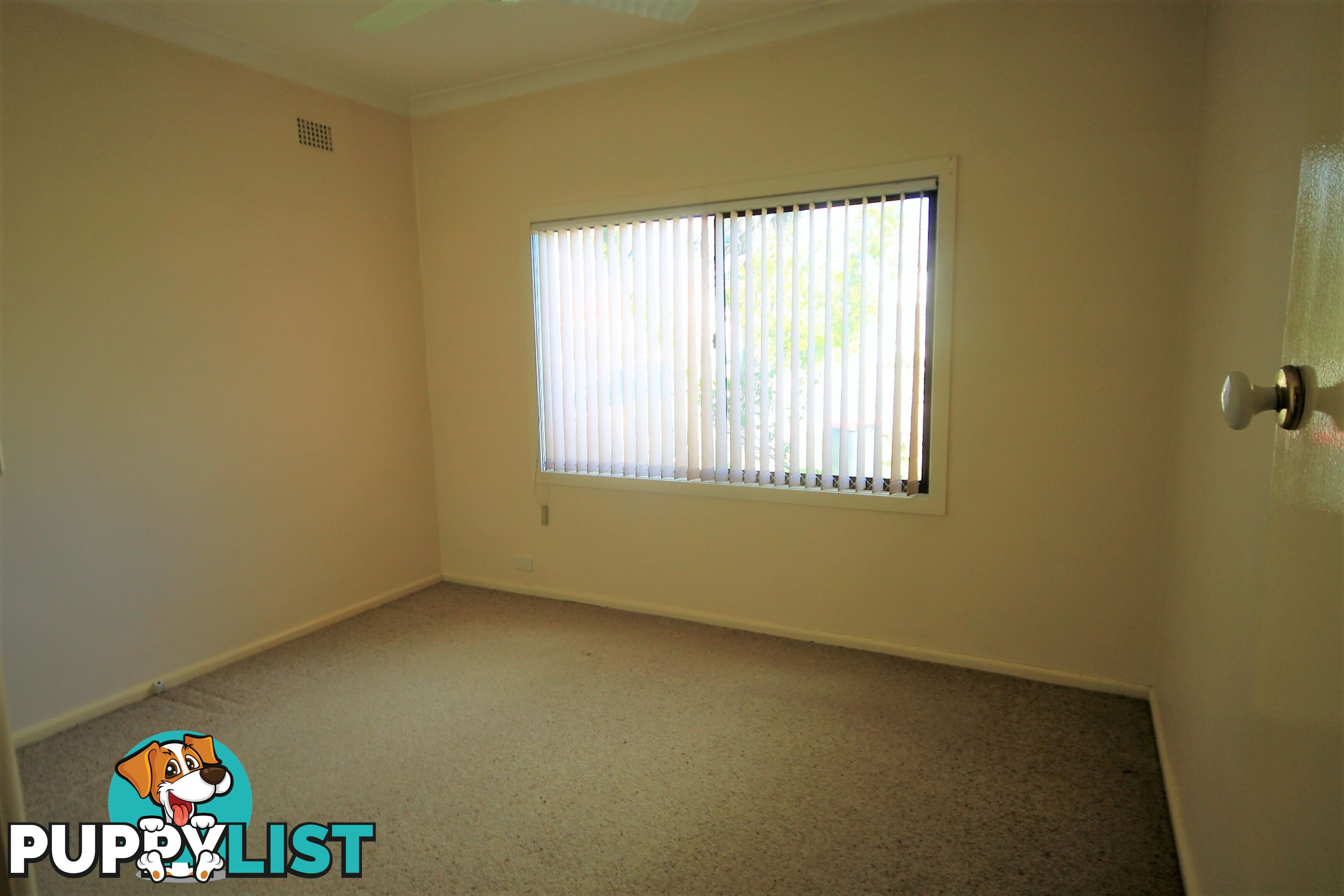 41 Ball Street COLYTON NSW 2760