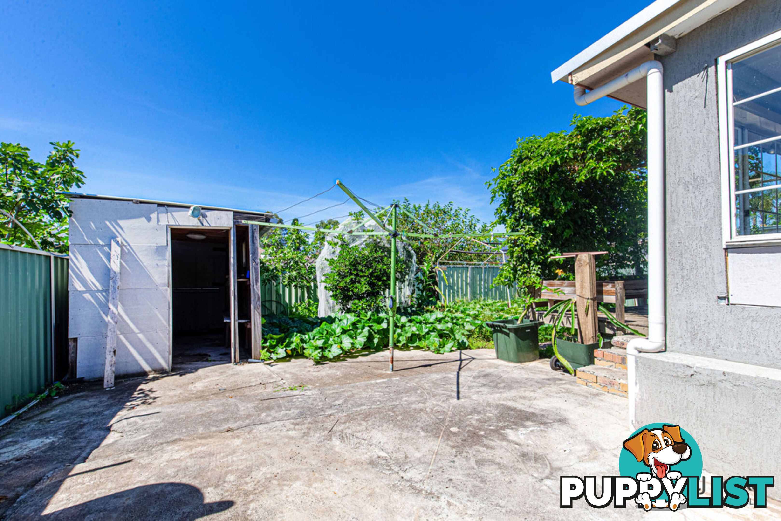 18 Freeman Street COLYTON NSW 2760