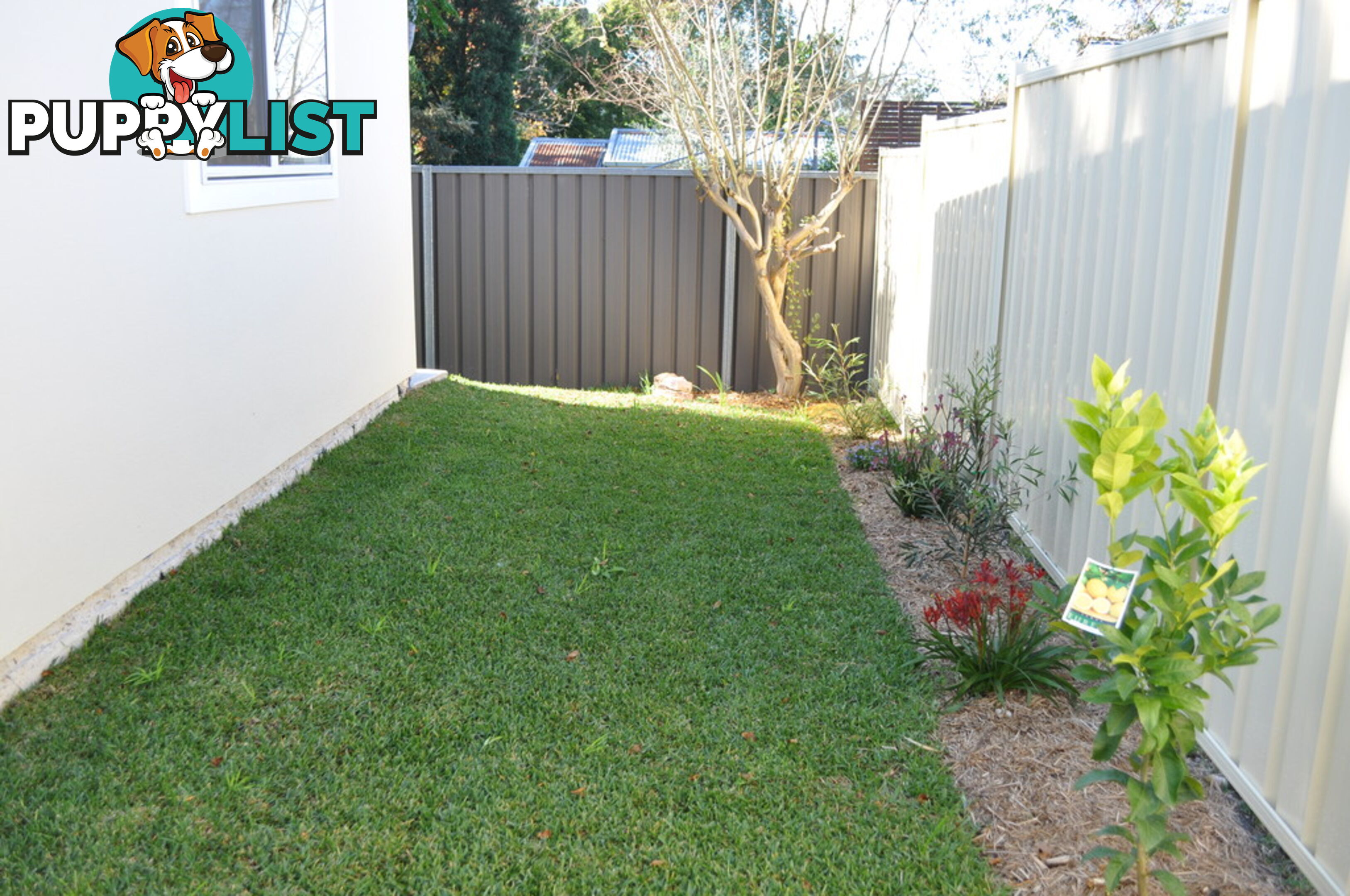 13A Athel Street NORTH ST MARYS NSW 2760