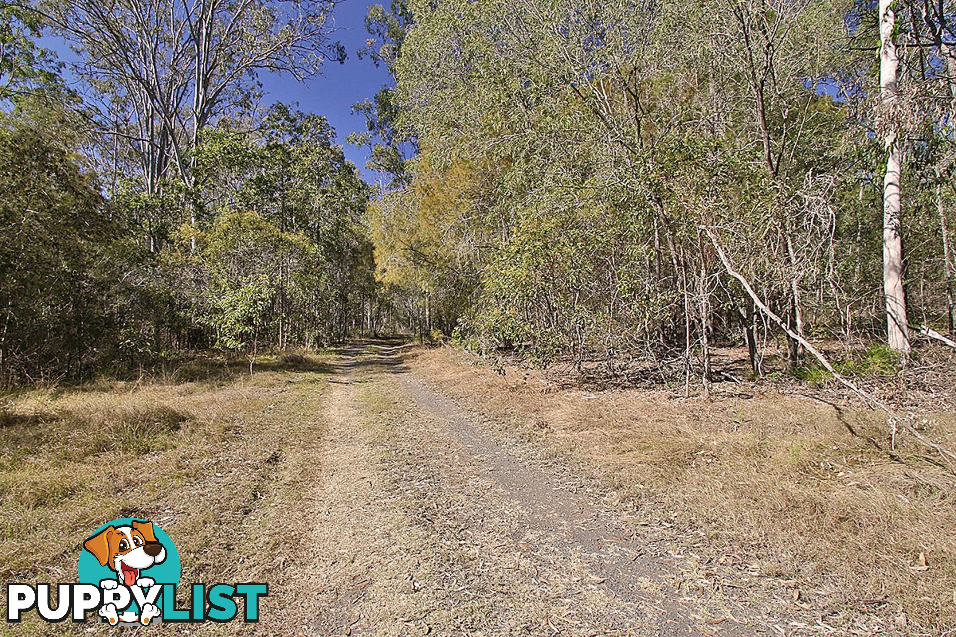 78-88 Minugh Rd JIMBOOMBA QLD 4280