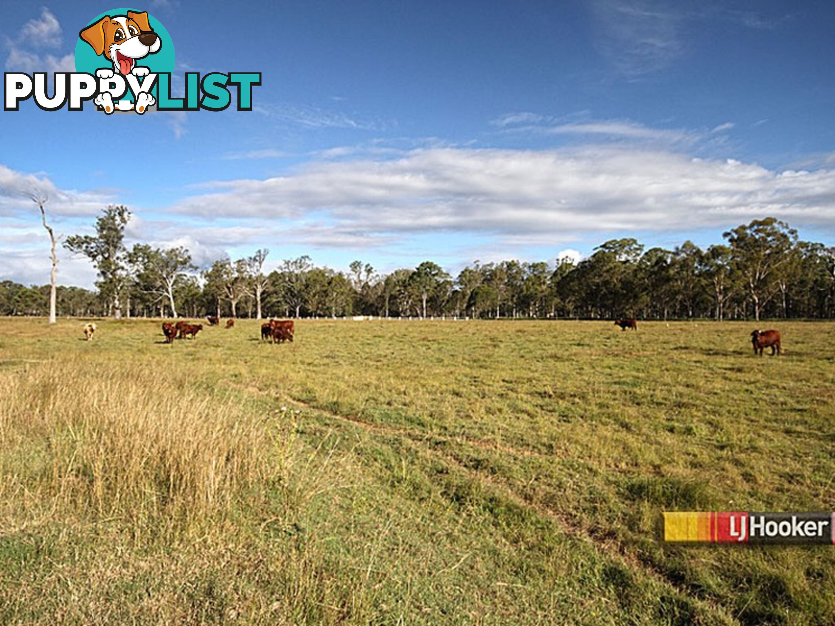 116-232 Humphries Rd SOUTH MACLEAN QLD 4280