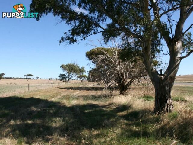 Lot 1 Arthurton Road ARDROSSAN SA 5571