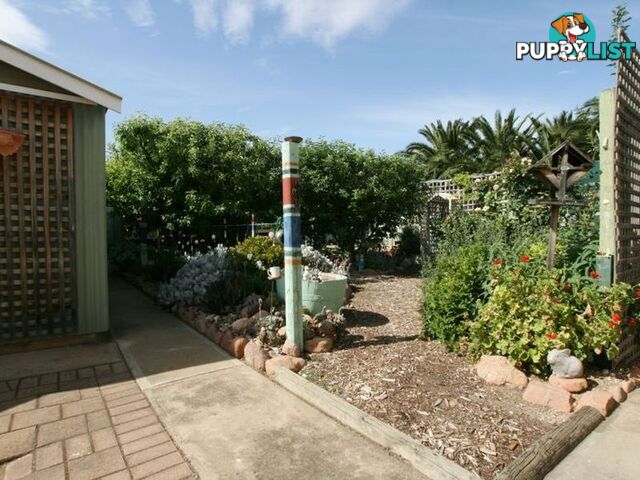 9 Lipson Avenue KADINA SA 5554