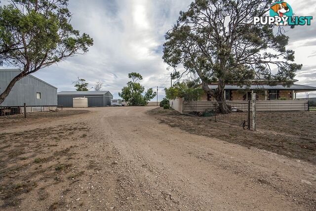 734 Bussenschutt Road Via Kadina SUNNYVALE SA 5552