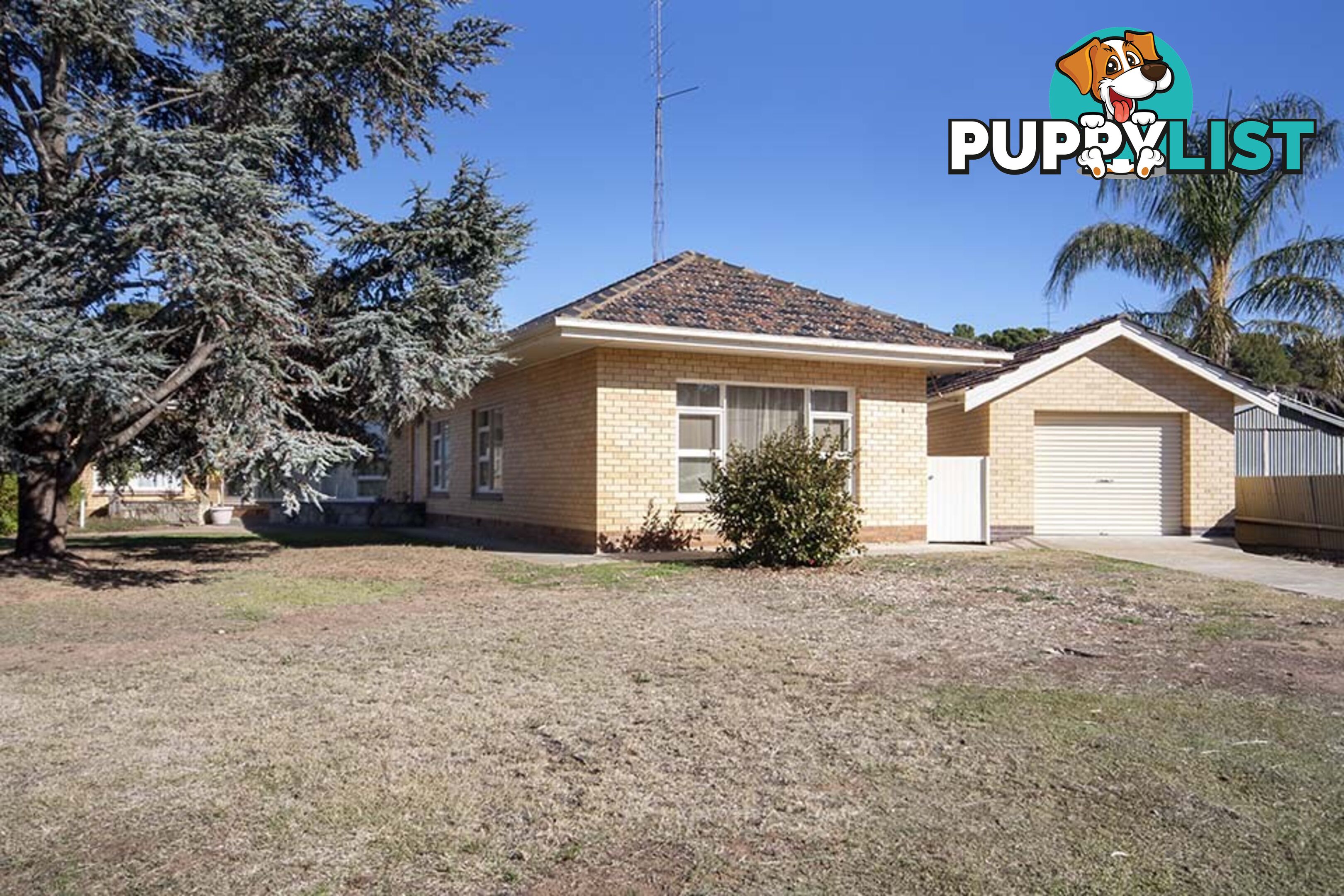 3 East Terrace KADINA SA 5554