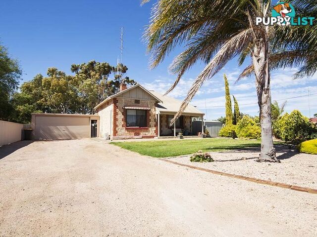 26 Lawrence Street KADINA SA 5554