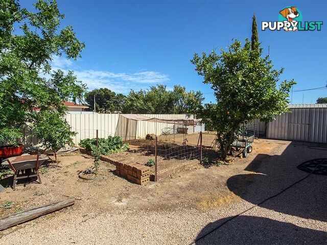 26 Lawrence Street KADINA SA 5554