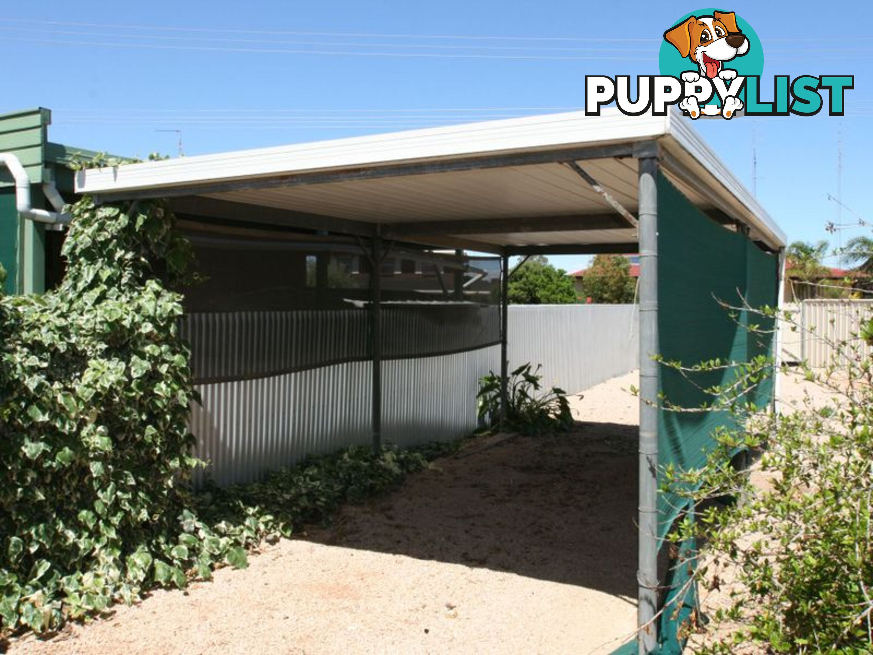 106 Graves Street KADINA SA 5554