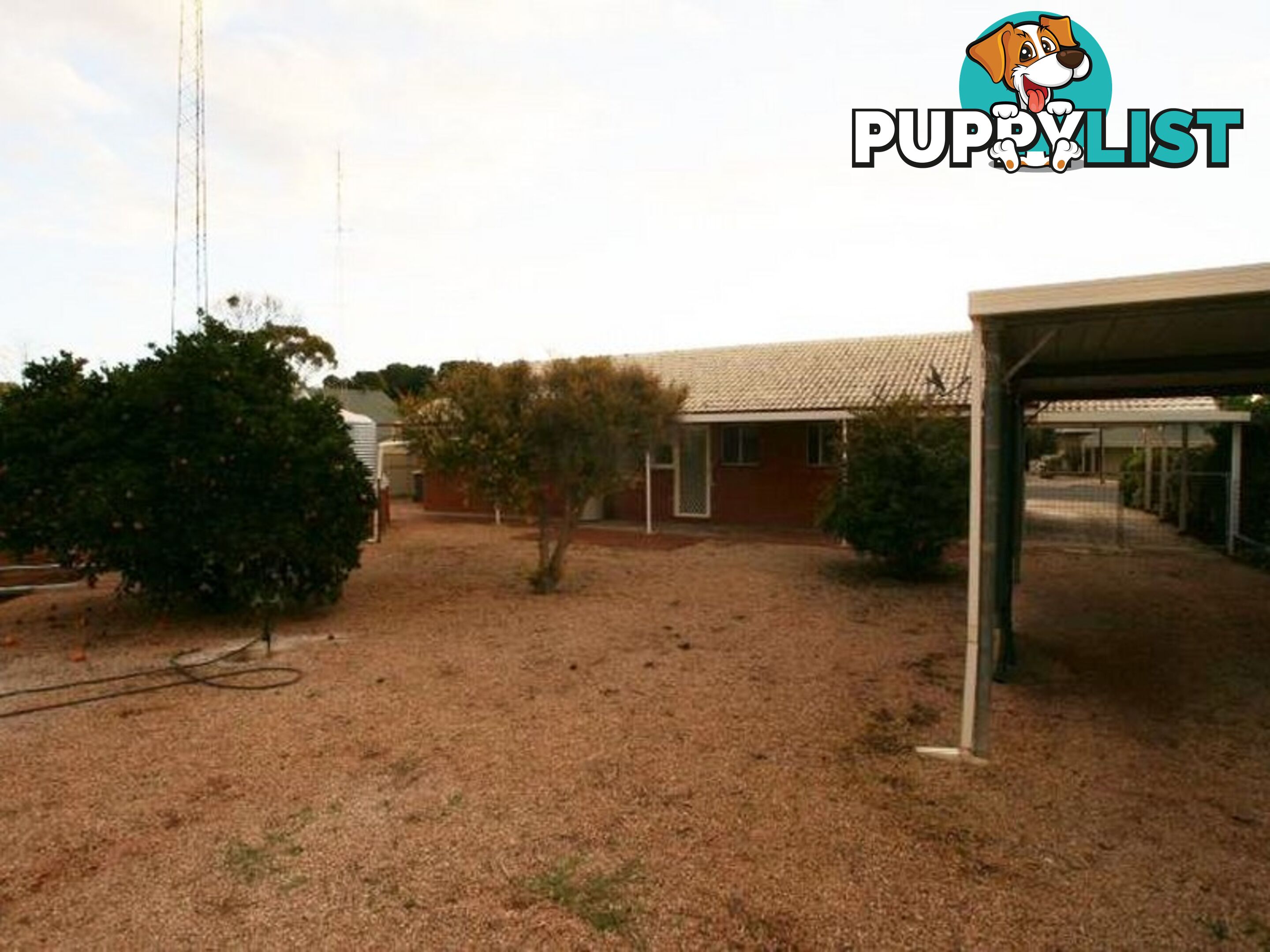 106 Graves Street KADINA SA 5554