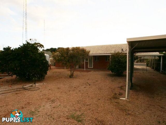 106 Graves Street KADINA SA 5554