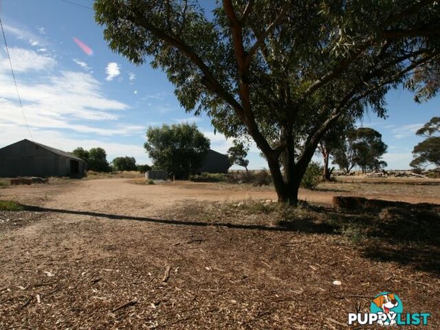 891 Thrington Road BOORS PLAIN SA 5554