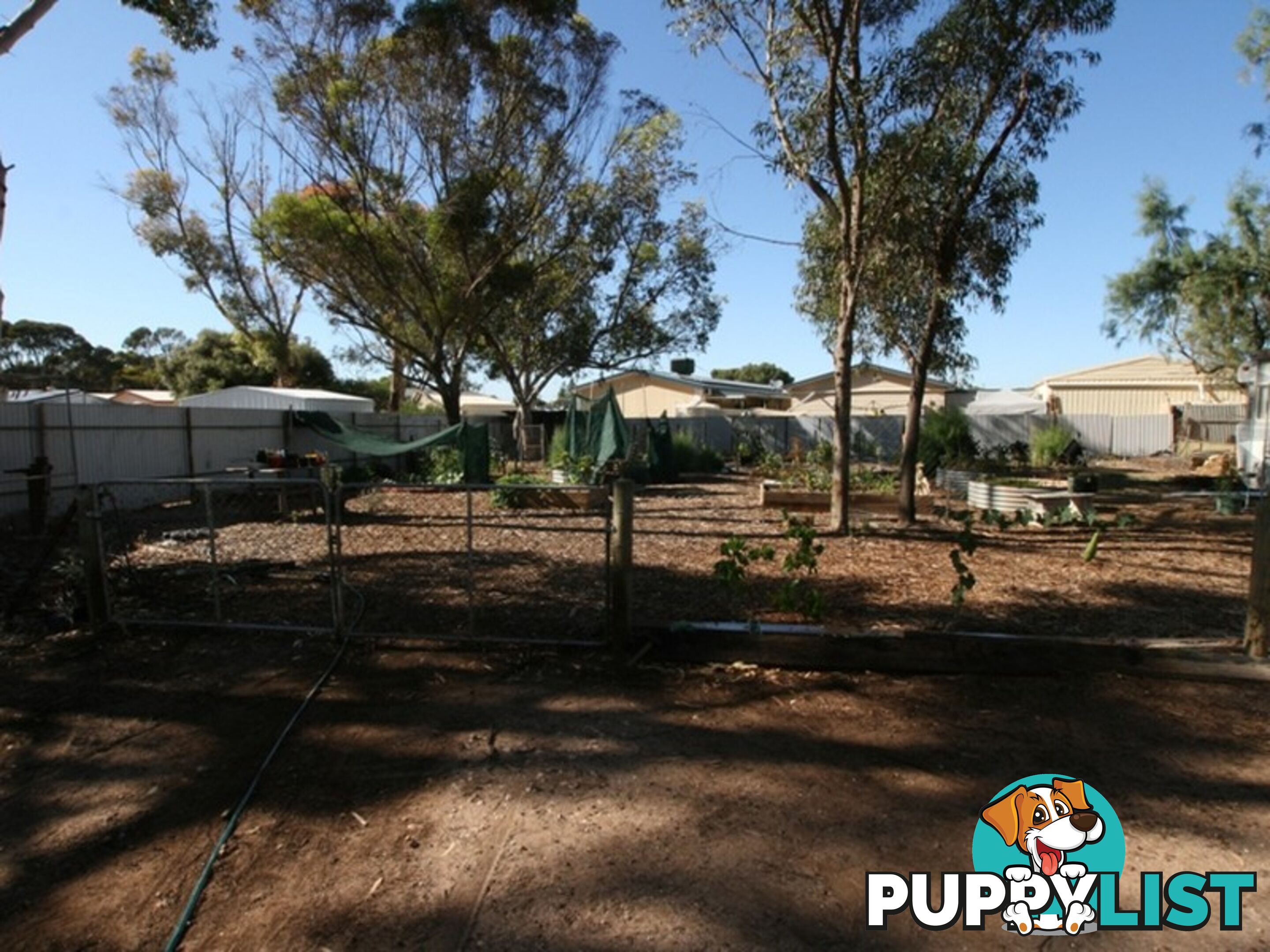 21 Letcher Street KADINA SA 5554