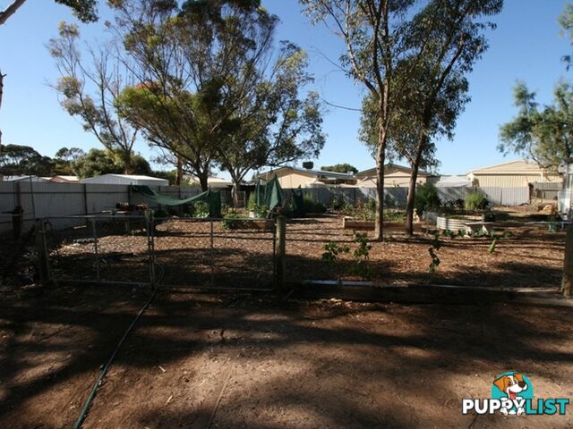 21 Letcher Street KADINA SA 5554