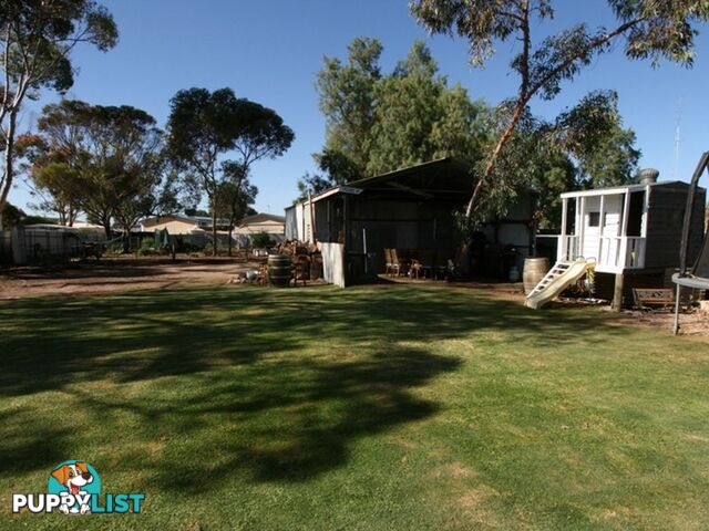 21 Letcher Street KADINA SA 5554