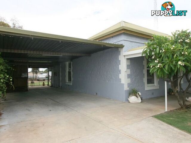 21 Letcher Street KADINA SA 5554