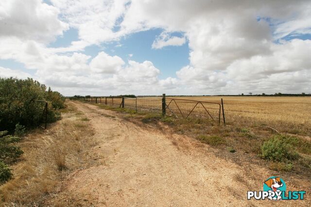 Section/1312 Mines Road KADINA SA 5554