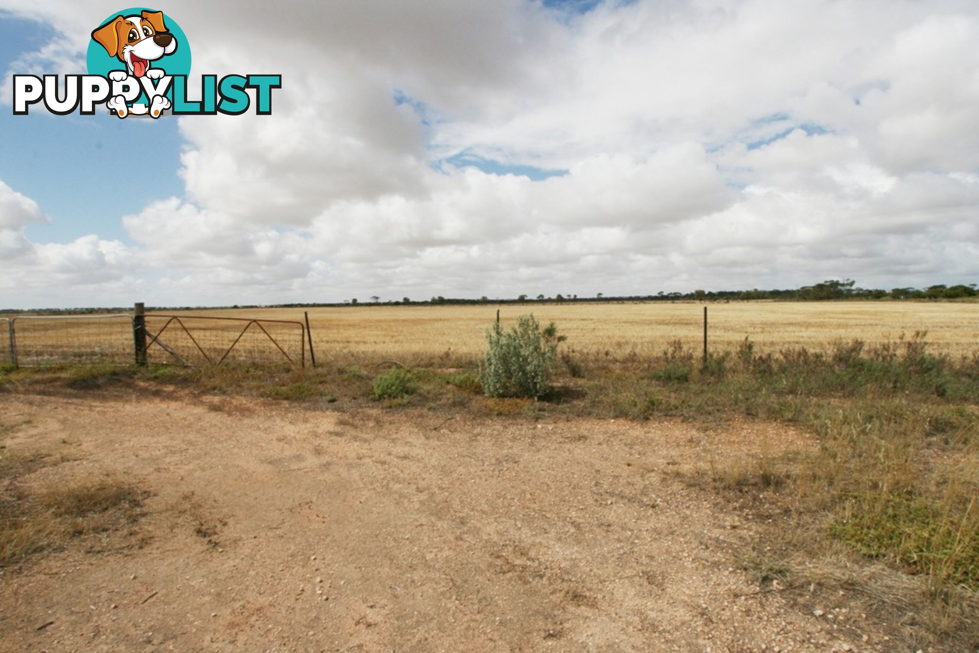 Section/1312 Mines Road KADINA SA 5554