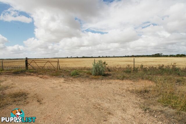 Section/1312 Mines Road KADINA SA 5554