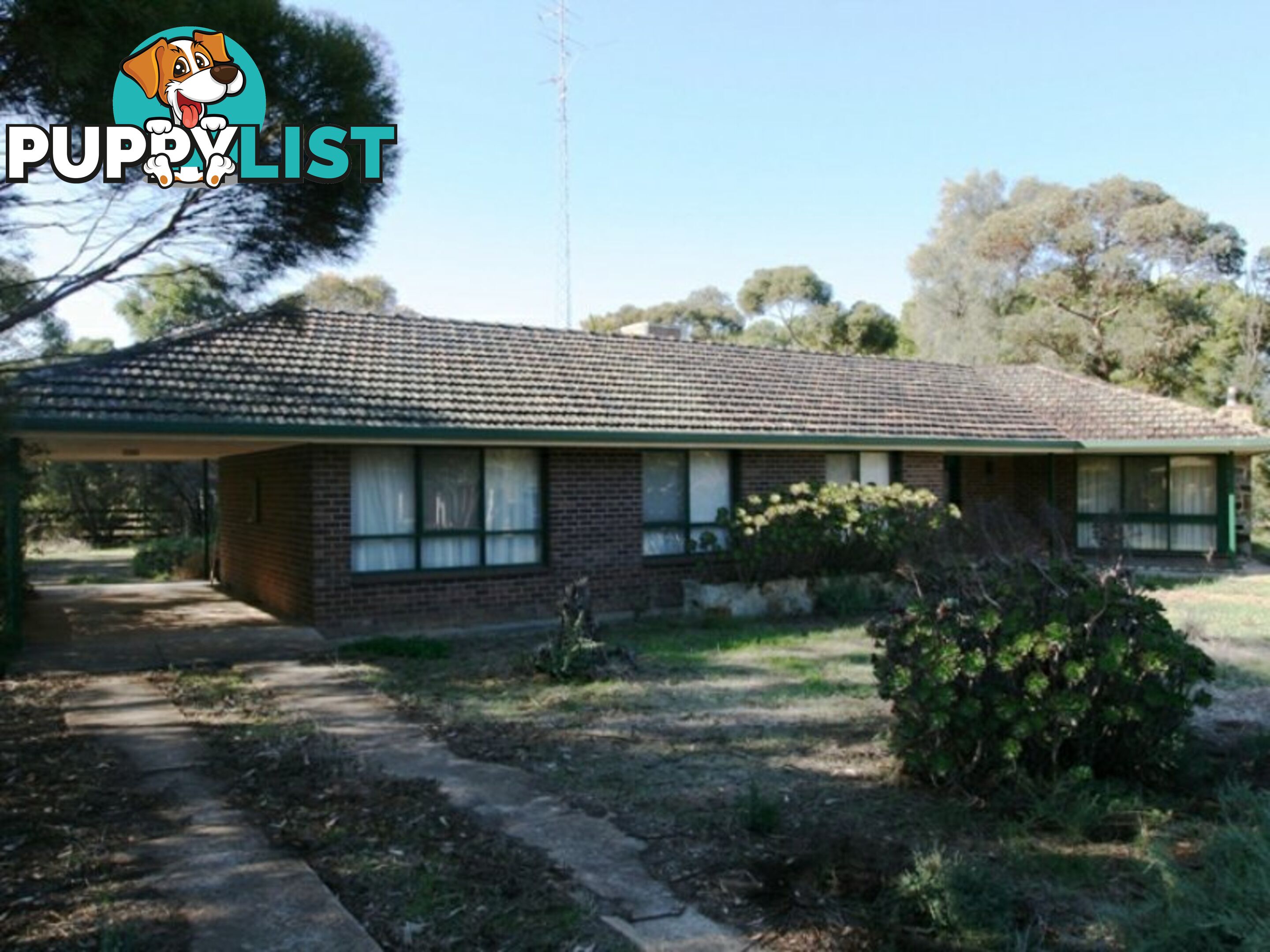 5 East Terrace SNOWTOWN SA 5520