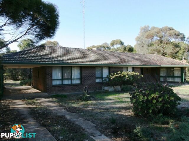 5 East Terrace SNOWTOWN SA 5520