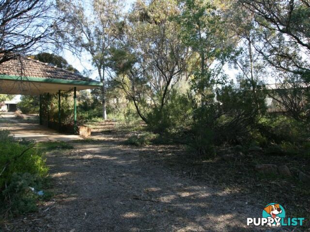 5 East Terrace SNOWTOWN SA 5520