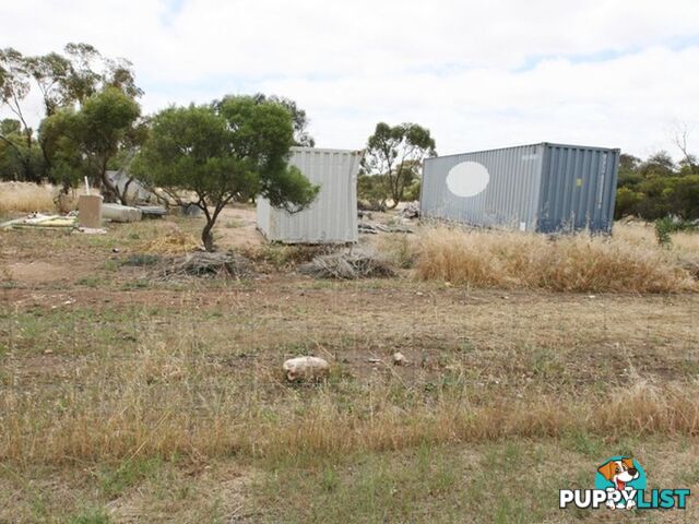 Allotment Main Street CUNLIFFE SA 5554