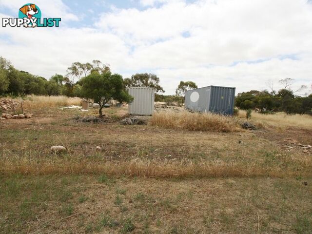 Allotment Main Street CUNLIFFE SA 5554