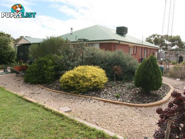 Allotment Magazine Road KADINA SA 5554