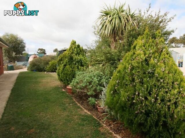 Allotment Magazine Road KADINA SA 5554