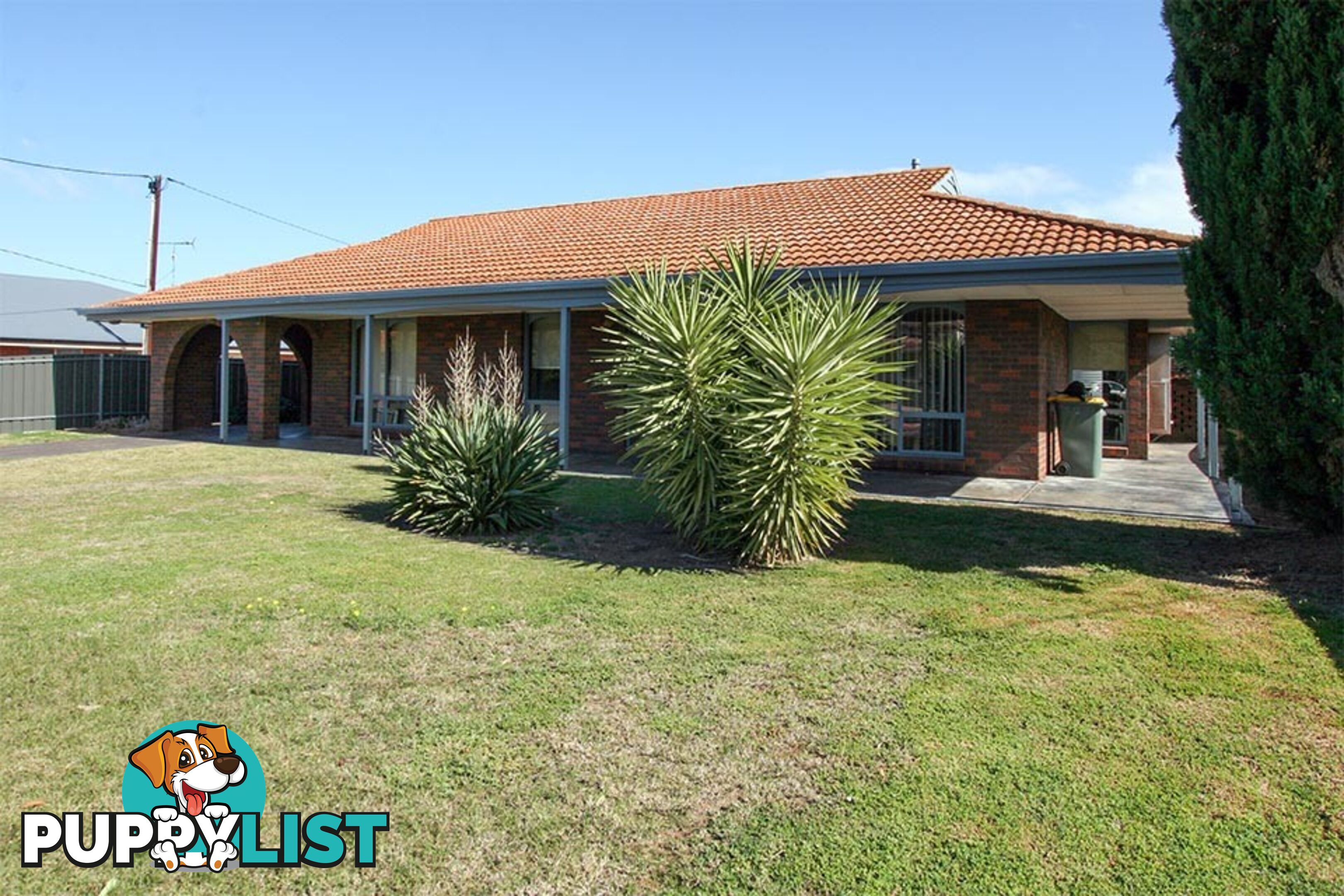 31 Hay Street KADINA SA 5554