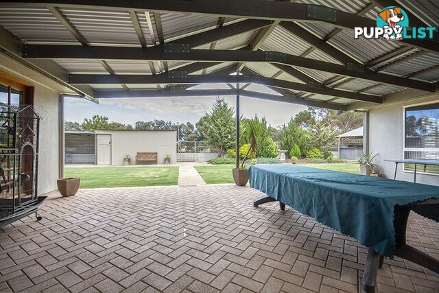 53 Hawke Road KADINA SA 5554