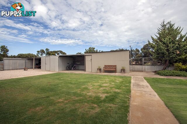 53 Hawke Road KADINA SA 5554